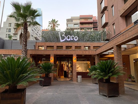Baco Vino Y Bistro