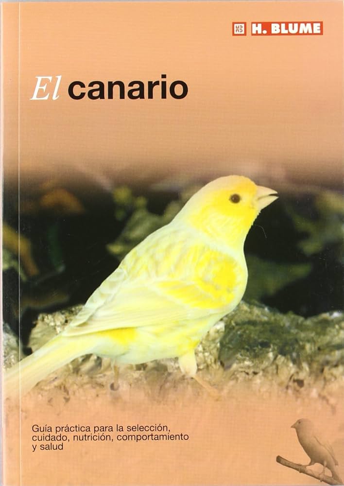 Carrito De Comidas "El Canario"