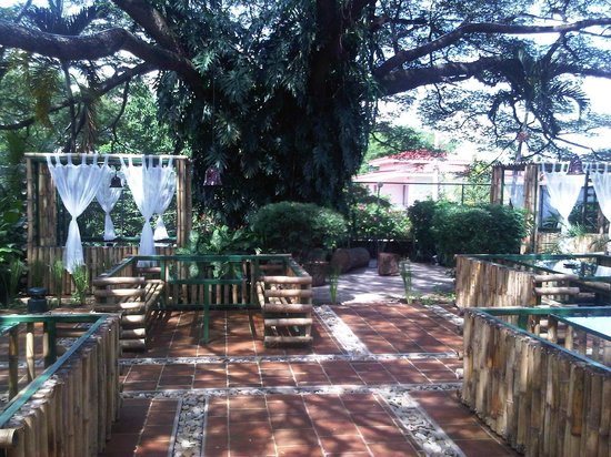 Restaurantes En Arbolito