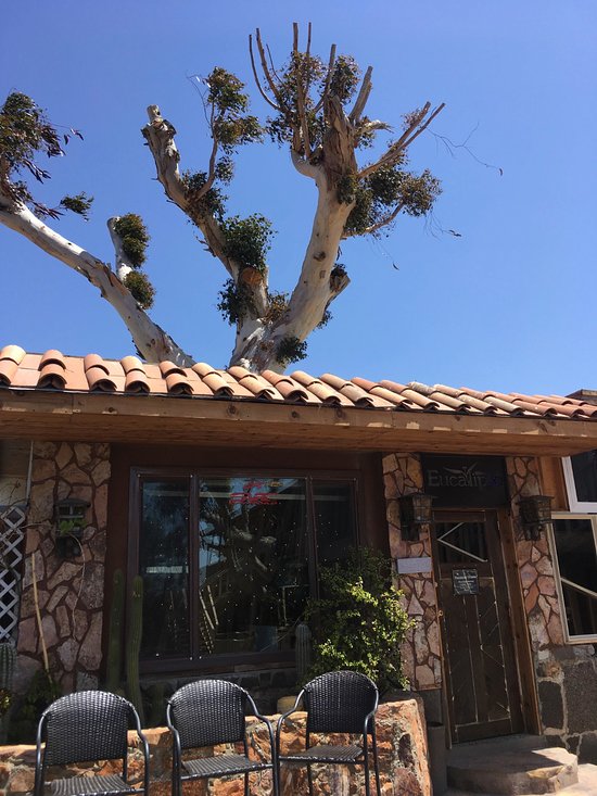 Restaurantes En El Eucalipto