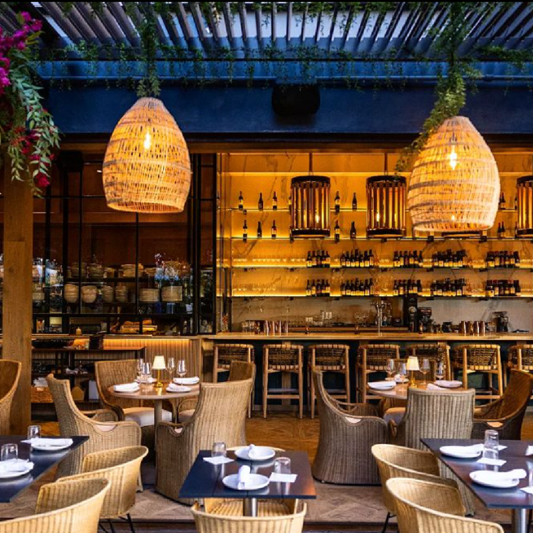 Restaurantes En La Paloma